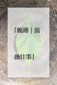 晚潮｜蔷薇往事